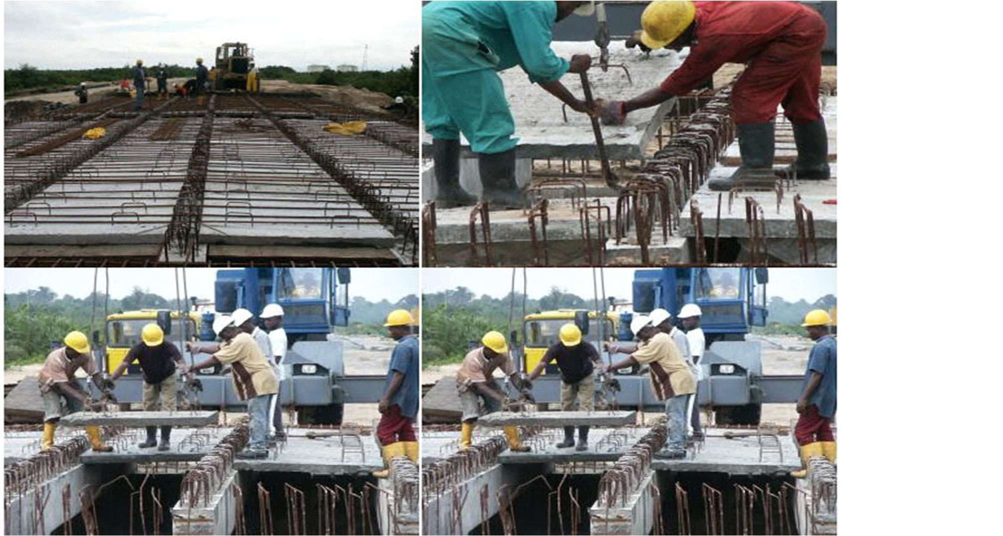 Management Team